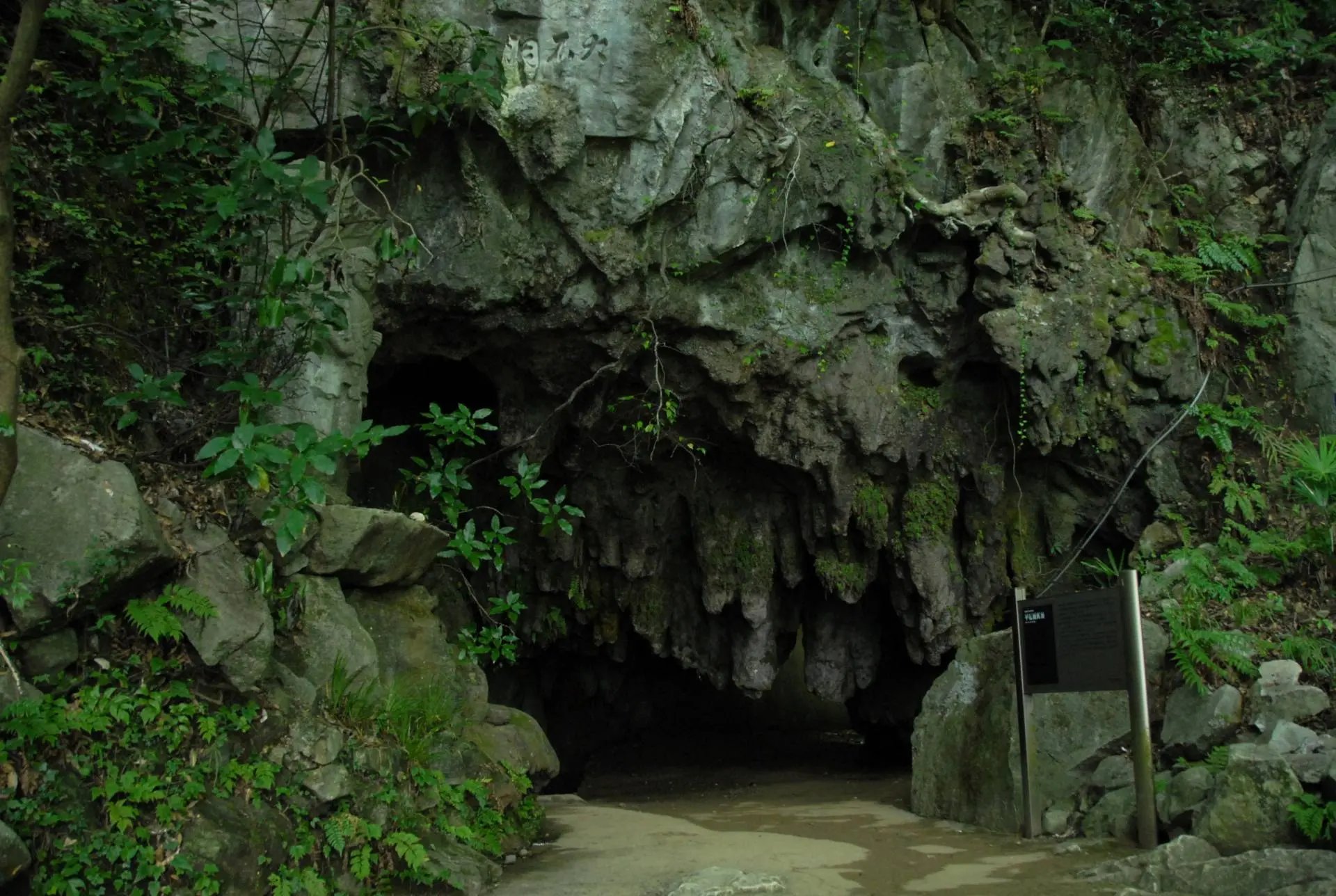 🏯 코산지/코산지 박물관 (Kōsan-ji/Kōsan-ji Museum) 이미지 8